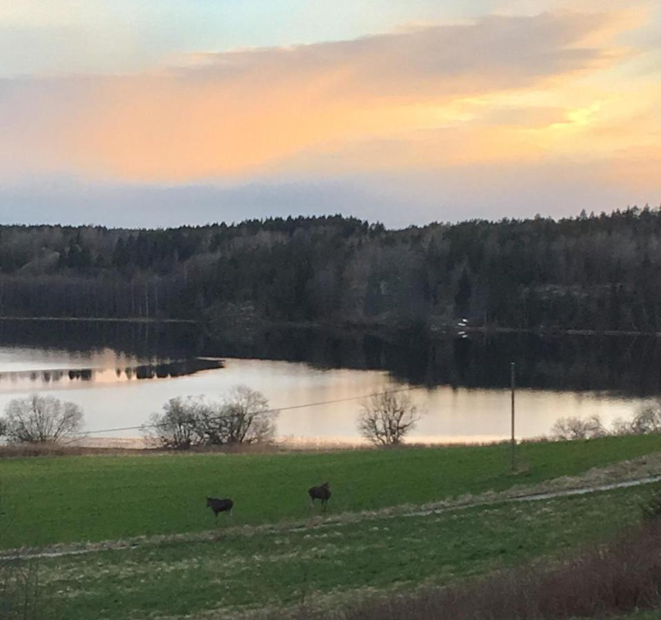 Strandsjon Färgelanda Eksteriør bilde